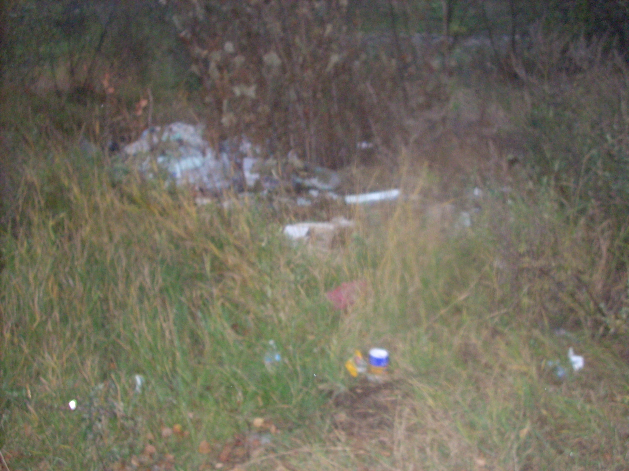 DSCN1727